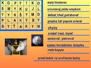 photo6.jpg